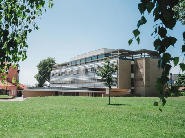 Católica master's programmes are among the best in the world in the QS Business Master's Rankings 2025
