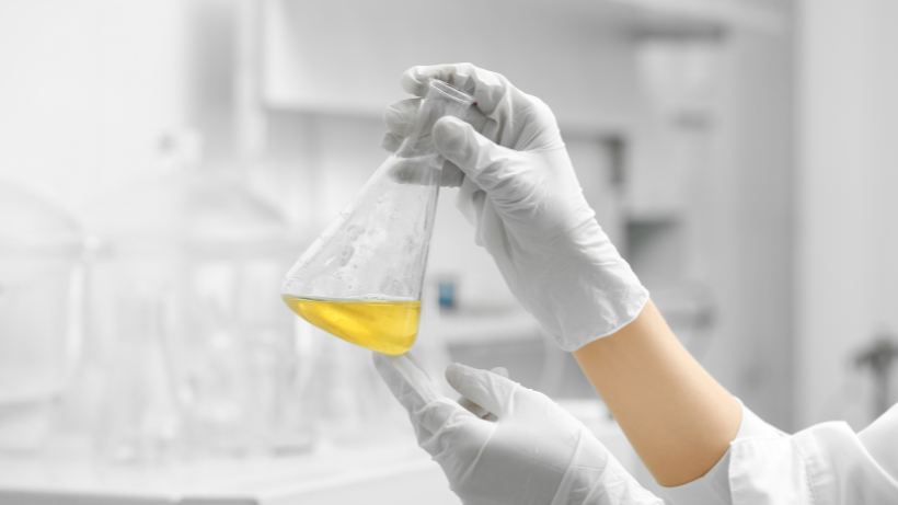 Universidade Católica Portuguesa’s researchers among the world's most cited reserachers