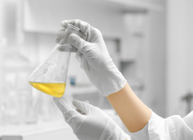 Universidade Católica Portuguesa’s researchers among the world's most cited reserachers